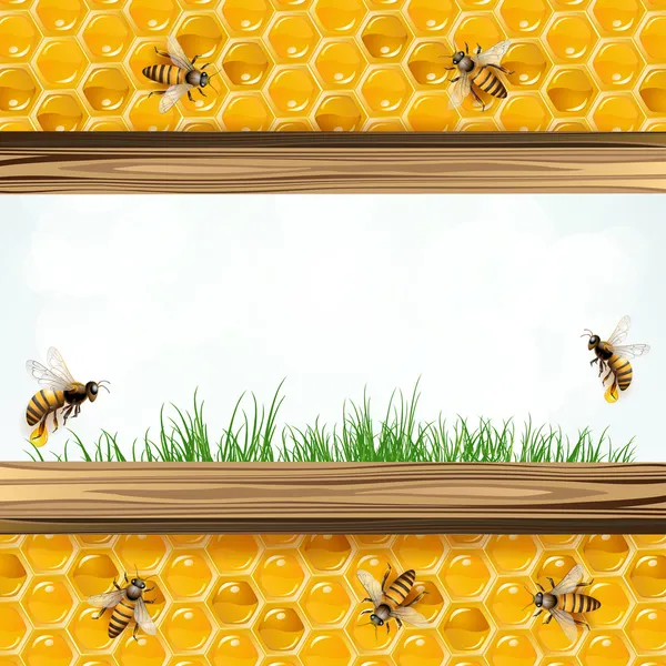 Landscape frame with bees — Stock Vector