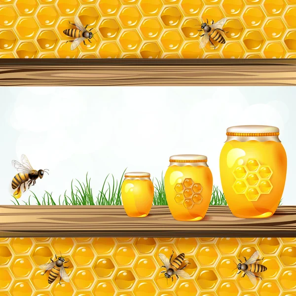 景观图文框与玻璃罐蜜蜂 — 图库矢量图片