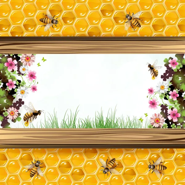 Včely a voštiny — Stockový vektor