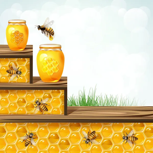 玻璃罐蜜蜂和蜂窝 — 图库矢量图片