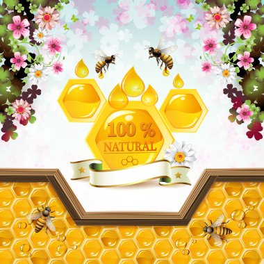 Bees and honeycombs clipart