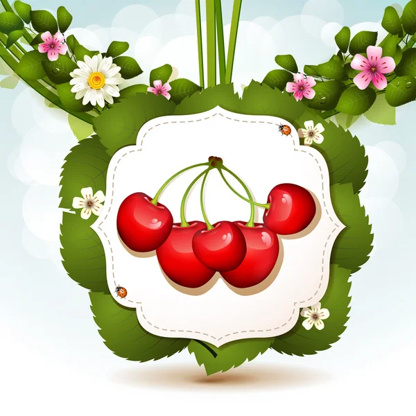 Ripe cherry — Stock Vector