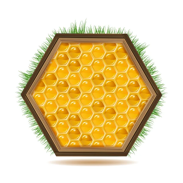 Panales de abeja con madera — Vector de stock