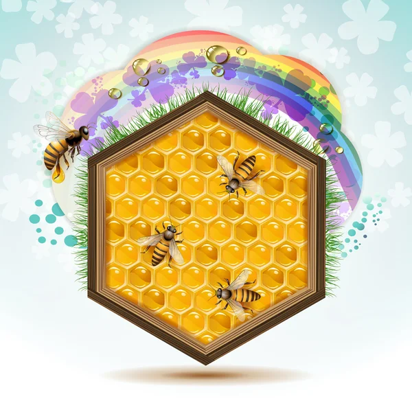 Arılar ve peteğin — Stok Vektör