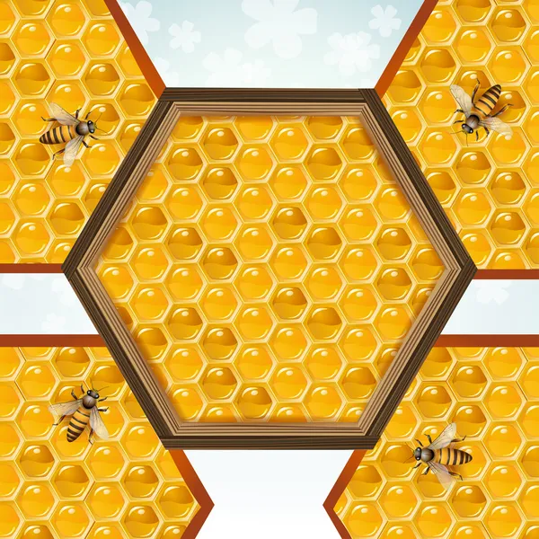Včely a voštiny — Stockový vektor