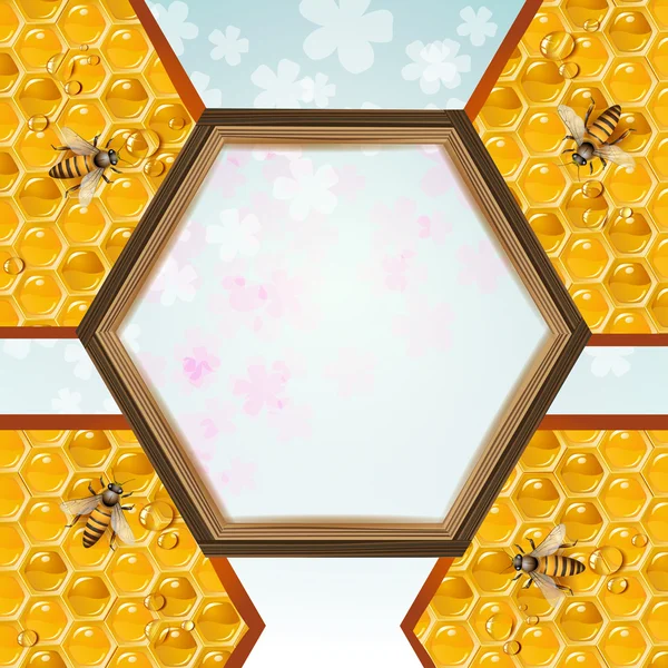 Arılar ve peteğin — Stok Vektör