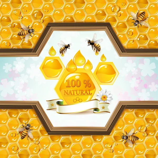 Bees and honeycombs — Stock Vector