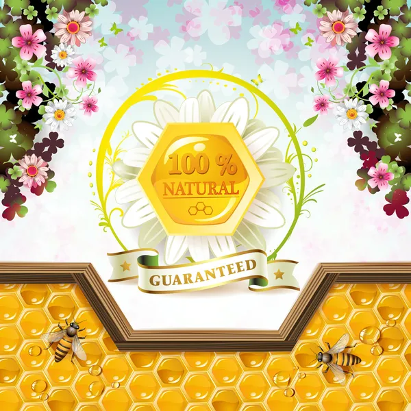 Miel y abejas — Vector de stock