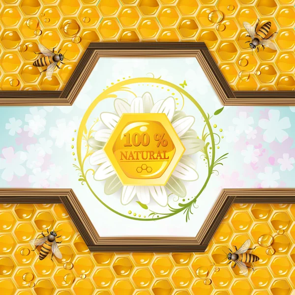 蜂蜜とミツバチは — ストックベクタ