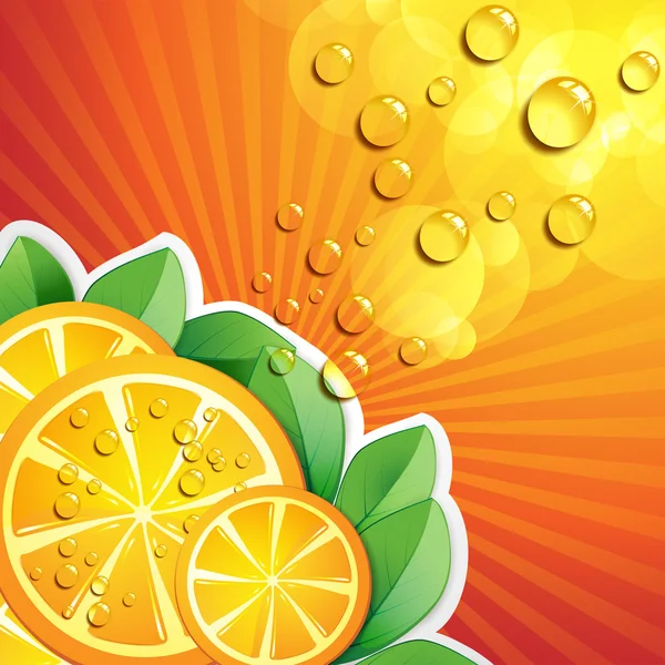 Narancs szeletek — Stock Vector