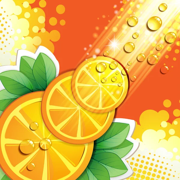 Rebanadas naranja — Archivo Imágenes Vectoriales