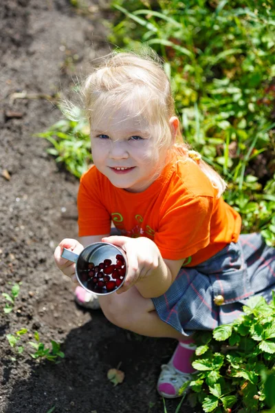 Young woman is picking of berry — Stock Photo, Image