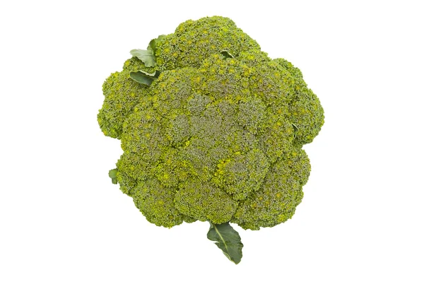 stock image Broccoli