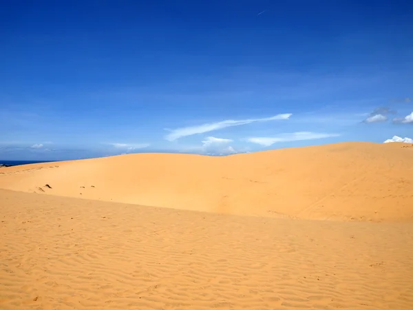 stock image Sandy desert