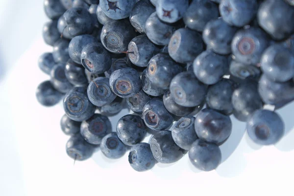 The blueberries — Stock Photo, Image