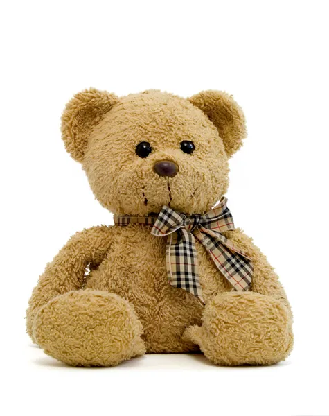 Teddybär neu 2 — Stockfoto