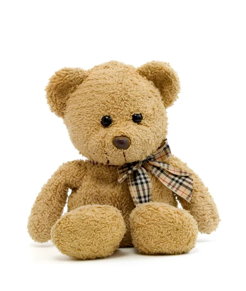 Teddybär neu 1 — Stockfoto