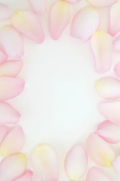 Blume 3 — Stockfoto