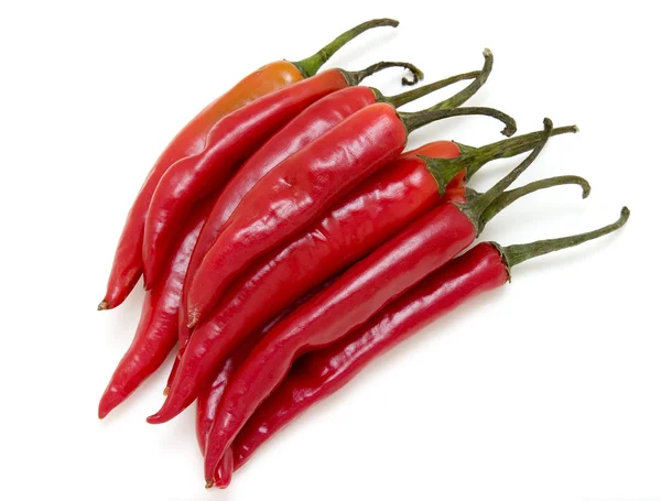 Peppers new 1 — Stock Photo, Image
