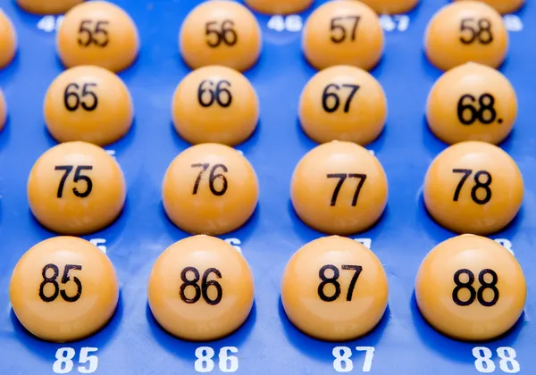 Bingo 1 — Stok fotoğraf
