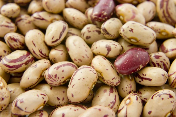 Beans 12 — Stock Photo, Image