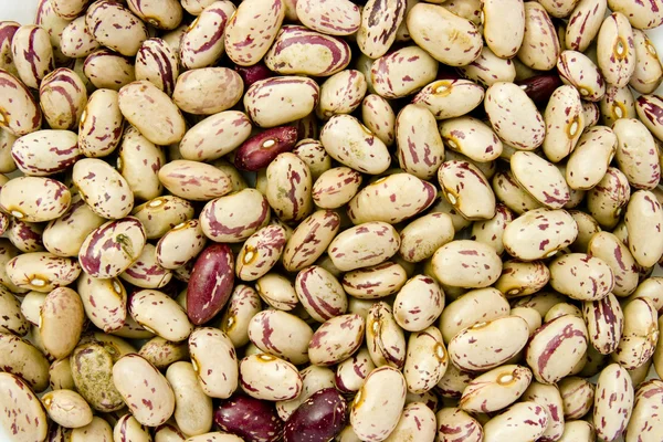Beans 10 — Stock Photo, Image