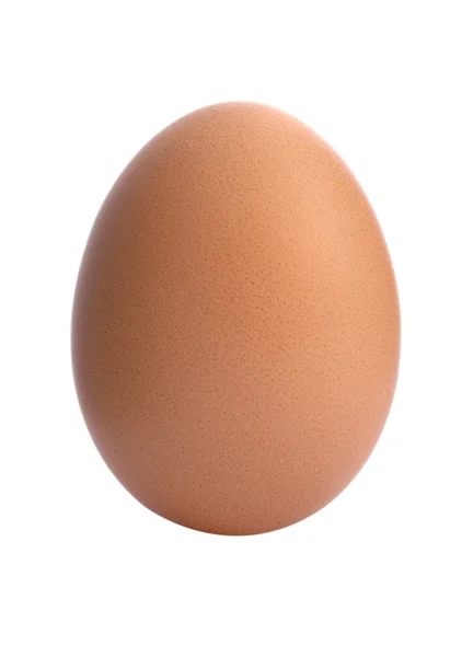 Huevos nuevos 11 — Foto de Stock