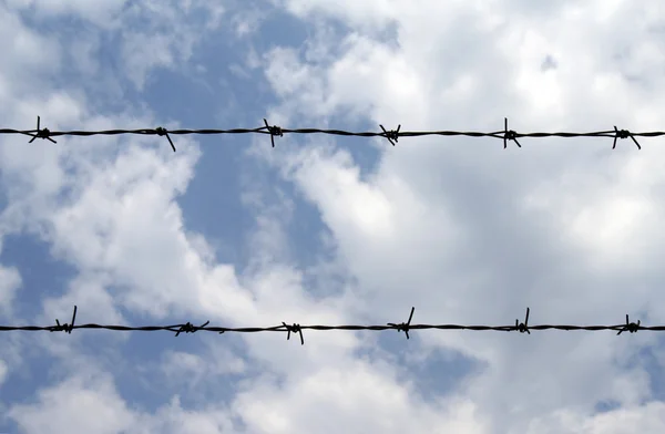 Barbed wire 1 — Stock Photo, Image