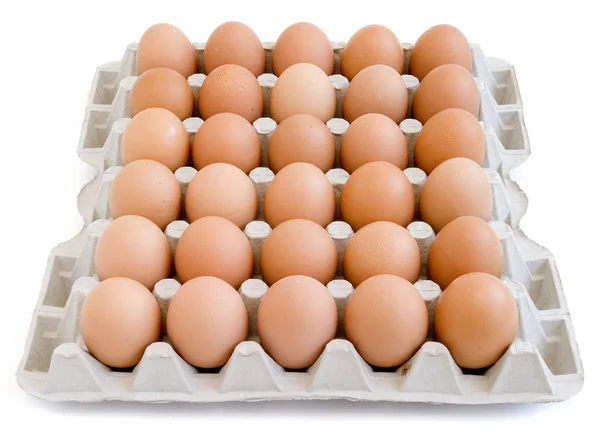 Eieren nieuwe 12 — Stockfoto