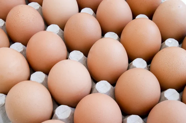 Eieren nieuwe 13 — Stockfoto