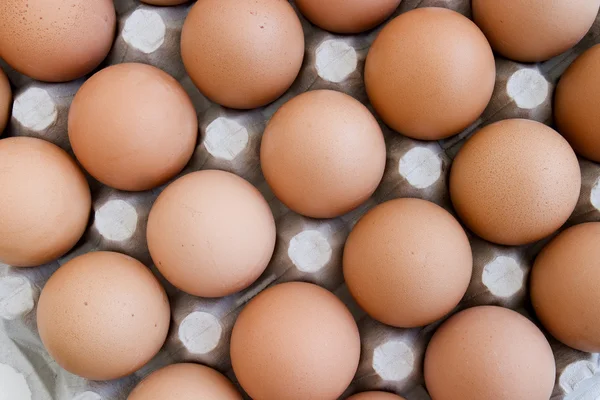Eieren nieuwe 14 — Stockfoto