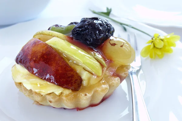 과일 케이크 3 — 스톡 사진