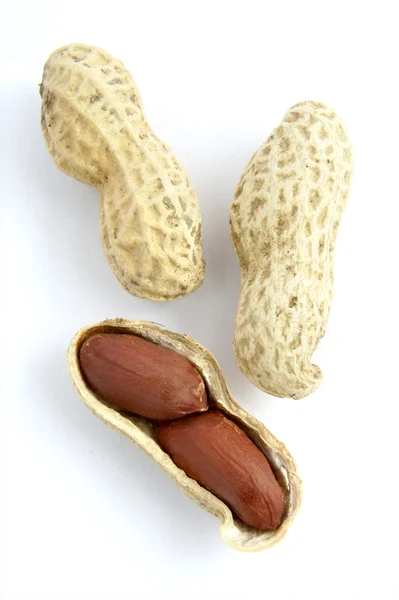 Amendoim 1 — Fotografia de Stock