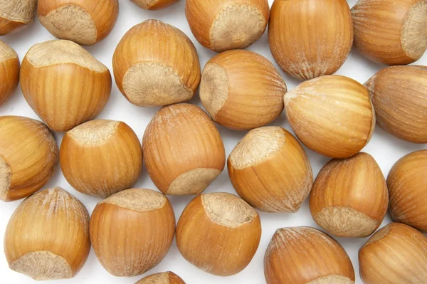 Hazelnuts 2 — Stock Photo, Image