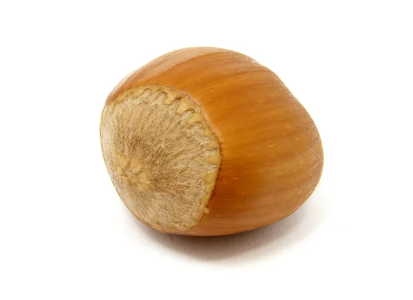 Hazelnuts 4 — Stock Photo, Image