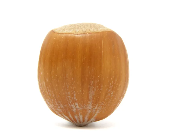 Lískové ořechy 3 — Stock fotografie