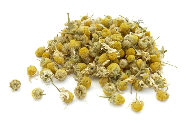 stock image Chamomile 10