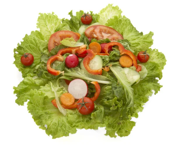 Salat Nahaufnahme 3 — Stockfoto