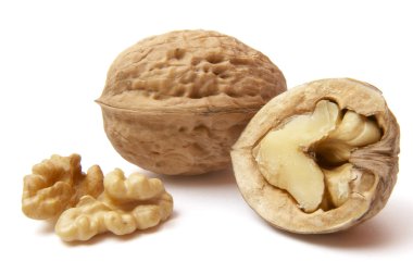 Walnut 4 clipart