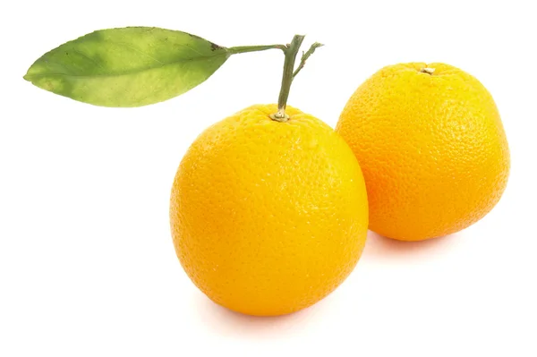 Orangen mit Blatt 1 — Stockfoto