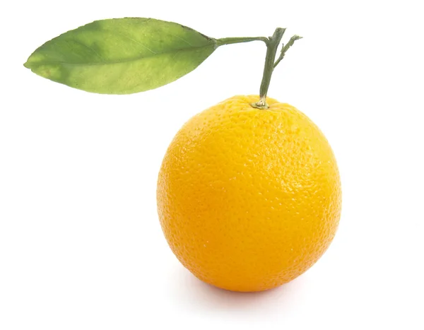 Oranje met blad 1 — Stockfoto