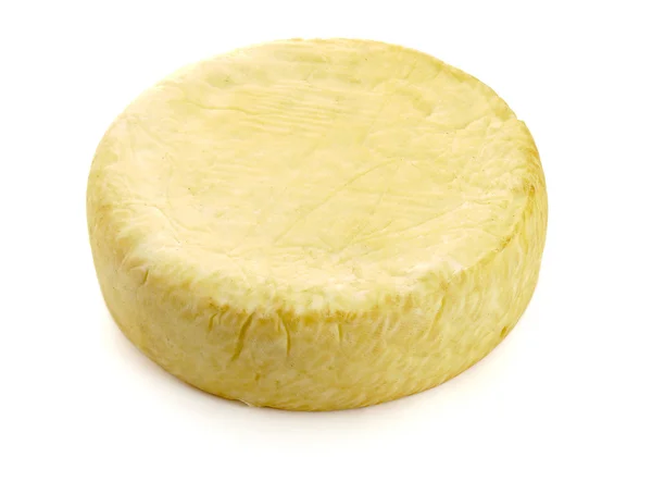 Cheese 1 — Stock Photo, Image
