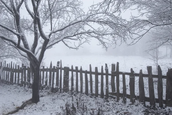 冬の風景 1 — ストック写真