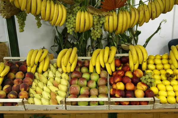 Frutta primo piano 1 — Foto Stock