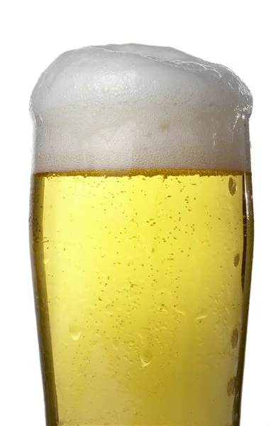 Cerveza nueva 2 —  Fotos de Stock