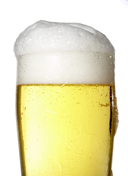 Beer new 1 — Stock Photo, Image