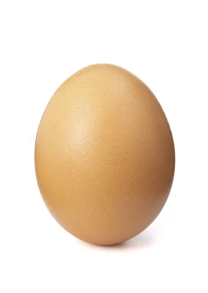 Egg still life — Stock Photo, Image