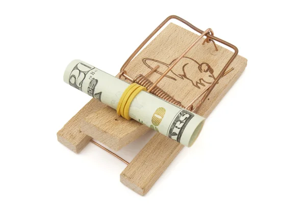 Rato armadilha e dólar — Fotografia de Stock