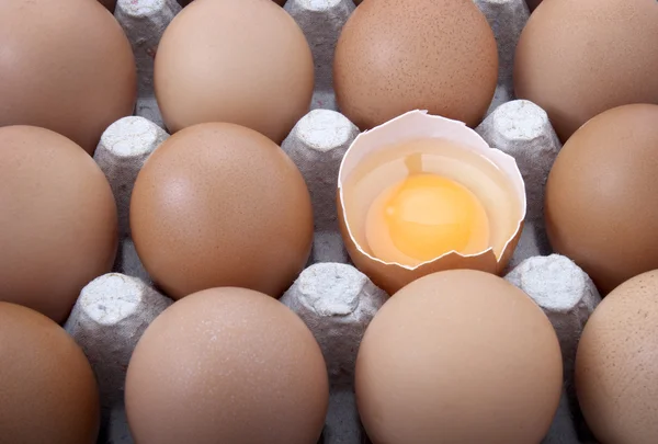 Jaja otwarte — Zdjęcie stockowe