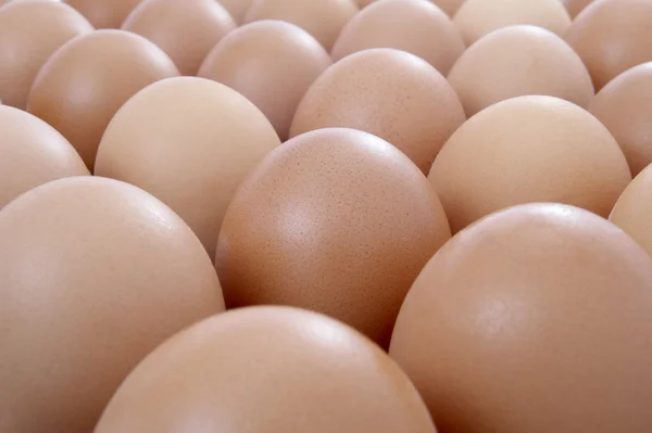 Eieren open — Stockfoto
